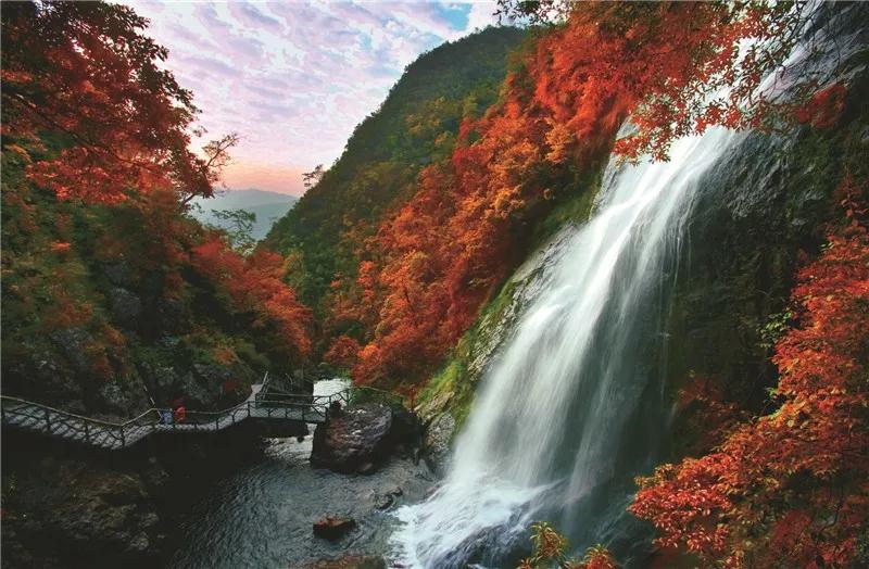 微信图片_20191127171914.jpg 微信图片_20191127171914.jpg