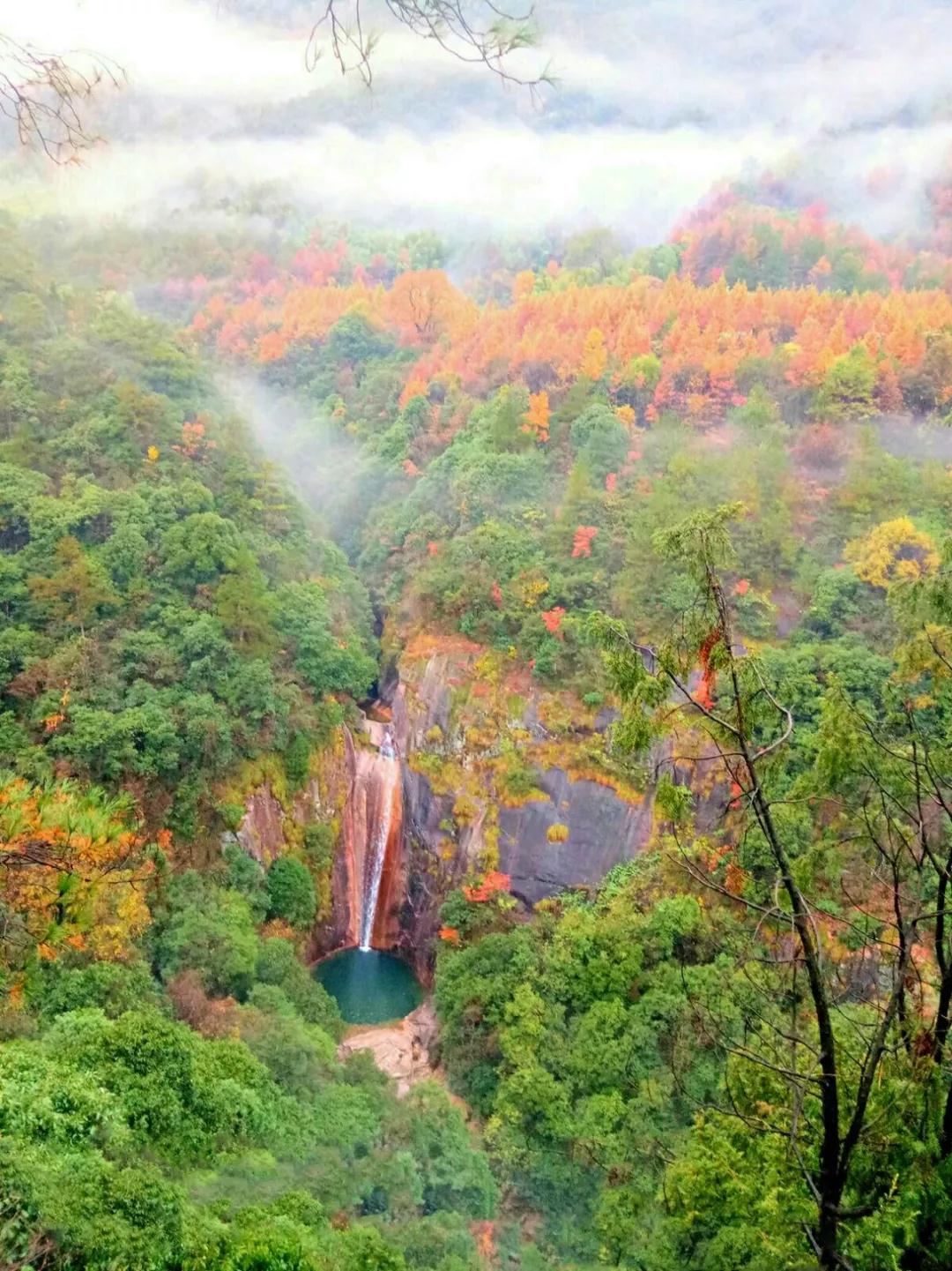 微信图片_20191128151921.jpg 微信图片_20191128151921.jpg