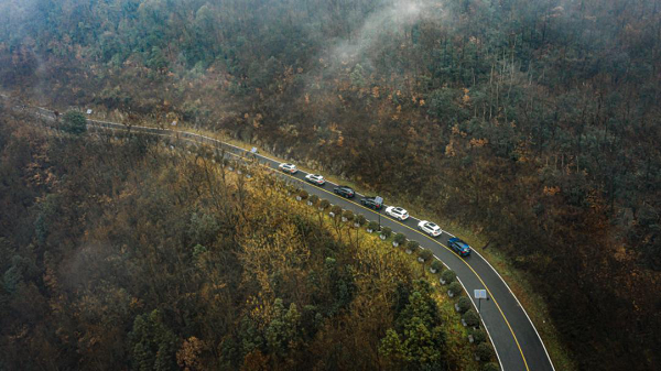 图片8.png 图片8.png