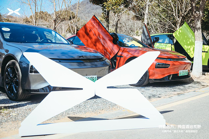 image003.jpg image003.jpg