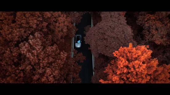 image018.jpg image018.jpg